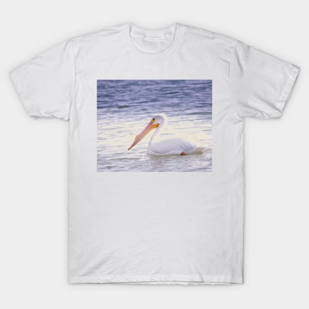 White American Pelican Peacefully Drifting T-Shirt by Debra Martz